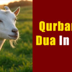 Qurbani Ki Dua In Hindi