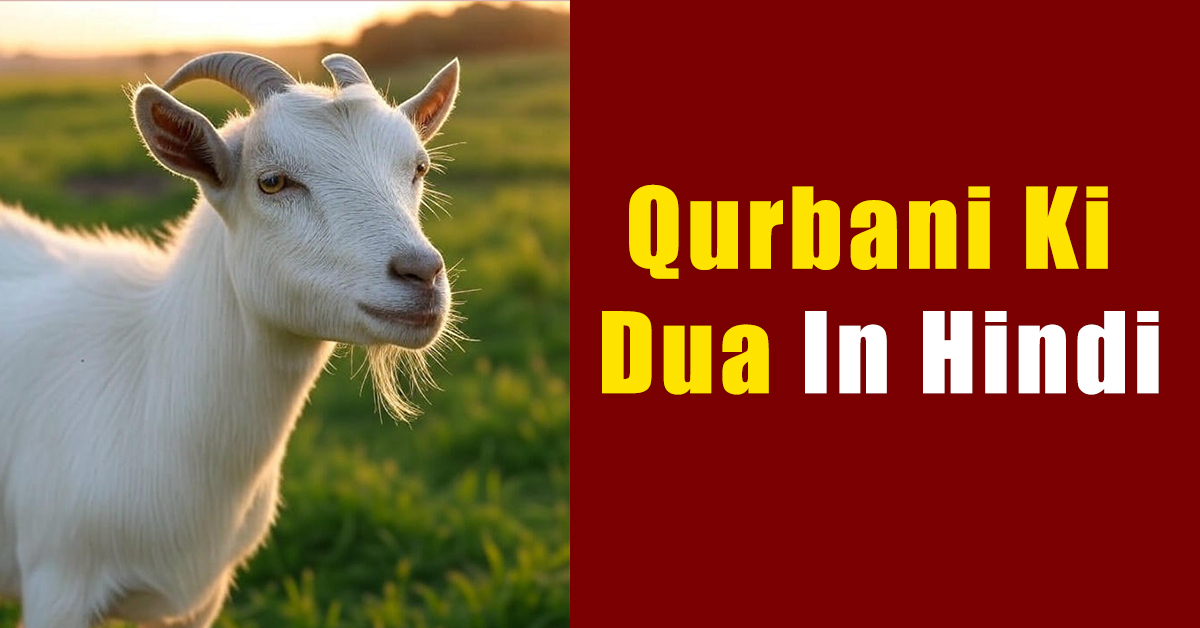 Qurbani Ki Dua In Hindi | कुर्बानी की दुआ हिंदी में